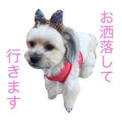 [LINEスタンプ] リンの気持ち