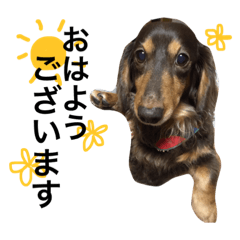 [LINEスタンプ] SORAとつーくん