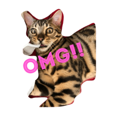 [LINEスタンプ] Tiger Cat？ 4