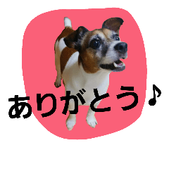 [LINEスタンプ] めいちゃんず