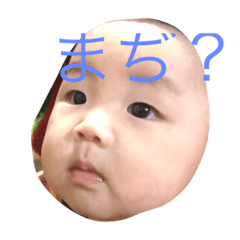 [LINEスタンプ] りたつんスタンプ会話