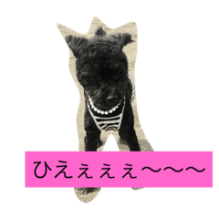 [LINEスタンプ] 私とモコ1