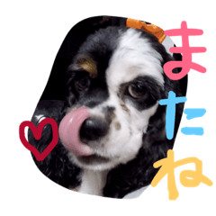 [LINEスタンプ] nicoelle2