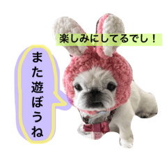 [LINEスタンプ] 風桃鈴スタンプ