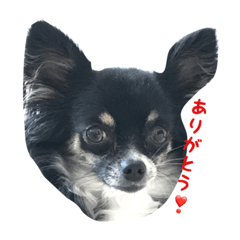 [LINEスタンプ] ボク、つっくん③