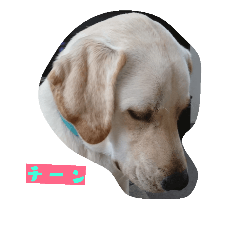 [LINEスタンプ] 作 