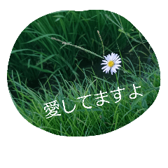 [LINEスタンプ] I-RO-TO-RI-DO-RI
