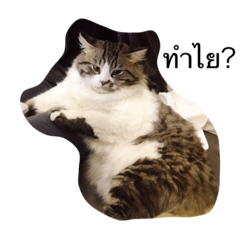[LINEスタンプ] なんんんに