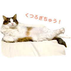 [LINEスタンプ] 森くんGOGO