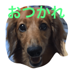 [LINEスタンプ] りおんとぷりん