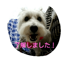 [LINEスタンプ] wanwanparadise2