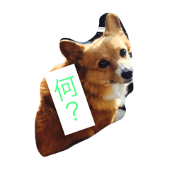 [LINEスタンプ] shoji mary