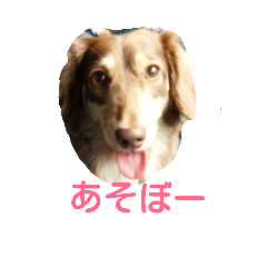 [LINEスタンプ] ぼくらっきー