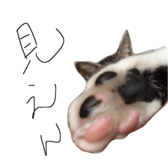 [LINEスタンプ] 肉球で会話