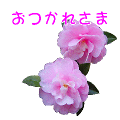 [LINEスタンプ] 花を添えて 2
