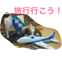 [LINEスタンプ] バロンくん（パピヨン）