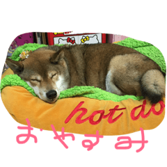 [LINEスタンプ] chokostnp
