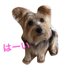 [LINEスタンプ] ワンコキャラ