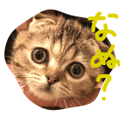 [LINEスタンプ] チュティジちゃん