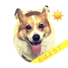 [LINEスタンプ] かわいいりょうたろう