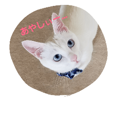[LINEスタンプ] fumifumi 1