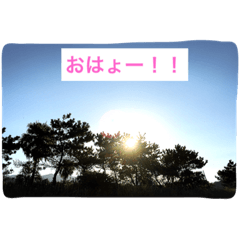 [LINEスタンプ] なぉ。スタンプ(1)