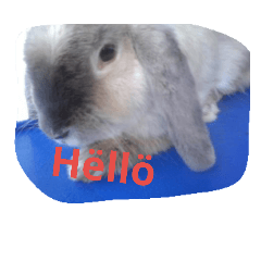 [LINEスタンプ] bunny rabbitzilla