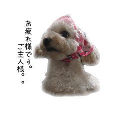 [LINEスタンプ] komugistyle