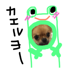 [LINEスタンプ] チワワのプリン