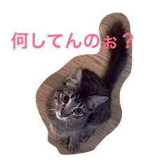 [LINEスタンプ] ロンロン ！