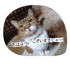[LINEスタンプ] レオ様