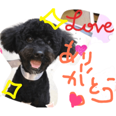 [LINEスタンプ] ジョージくん。