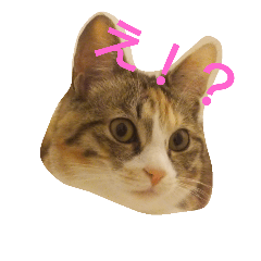 [LINEスタンプ] momomom