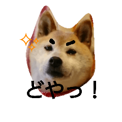 [LINEスタンプ] 癒しのうちの子達