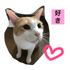 [LINEスタンプ] ニャンタ vol.2