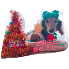 [LINEスタンプ] ちょこ太くん①