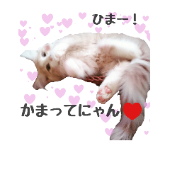 [LINEスタンプ] わたくんスタンプ