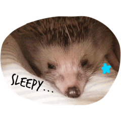 [LINEスタンプ] Harrystyle