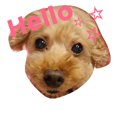 [LINEスタンプ] うちのなな