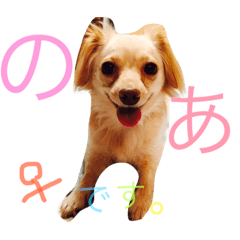 [LINEスタンプ] のあと日常