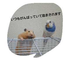 [LINEスタンプ] ハムスターとインコ PART4