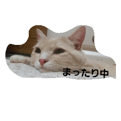 [LINEスタンプ] 足長マンチカン三成の日常生活パート2
