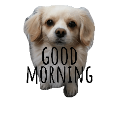 [LINEスタンプ] ichigo doggy