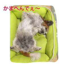 [LINEスタンプ] とんてん 2