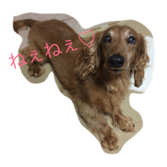 [LINEスタンプ] じゃじゃまるさん
