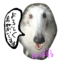 [LINEスタンプ] ぼるぼる兄妹