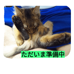[LINEスタンプ] happy-SORAKUN3