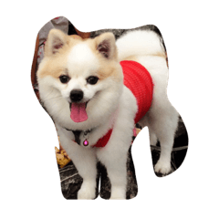[LINEスタンプ] I an Happy
