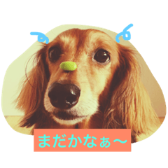 [LINEスタンプ] らいくな日々