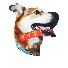 [LINEスタンプ] キララあんどクゥ